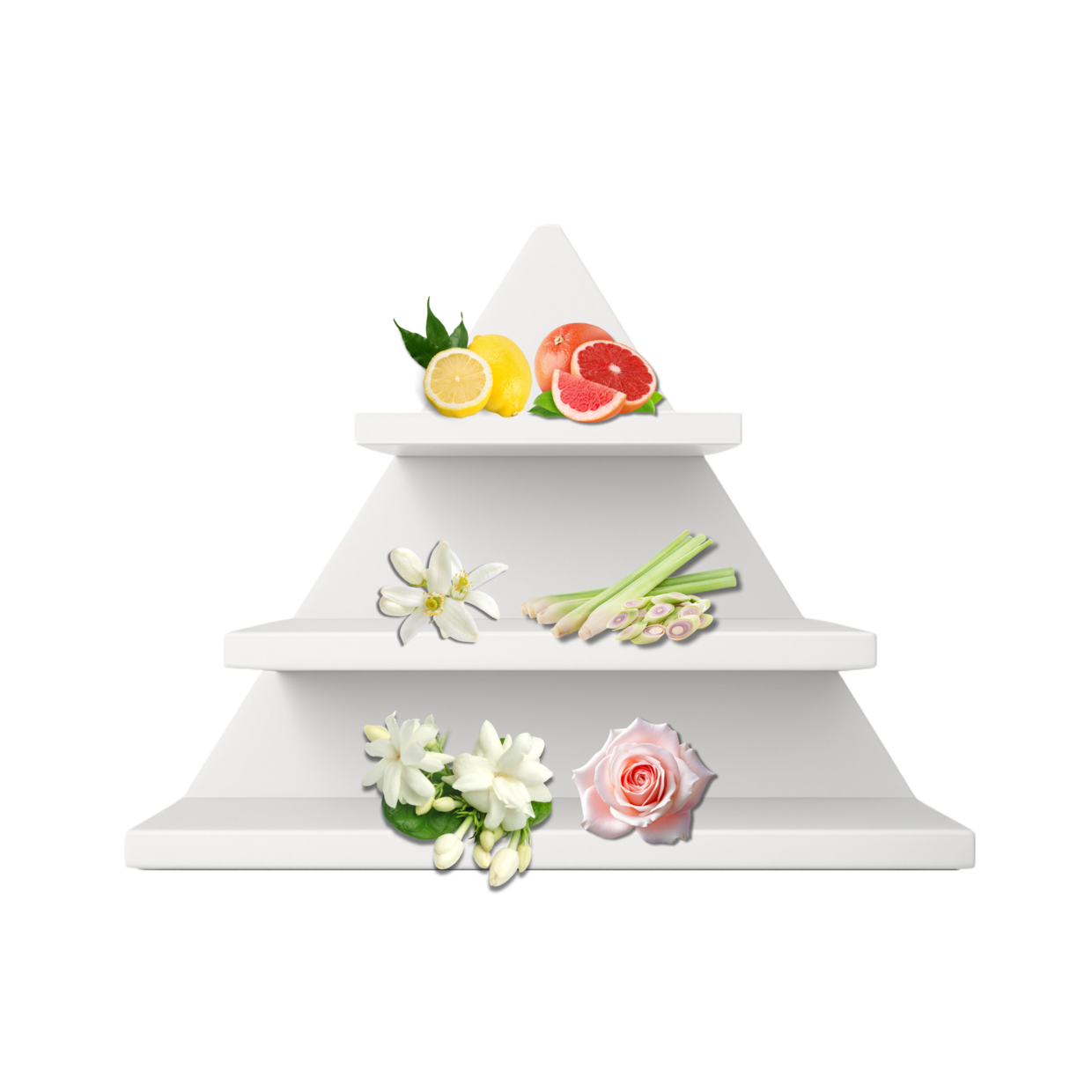 Seville Neroli Duftpyramide